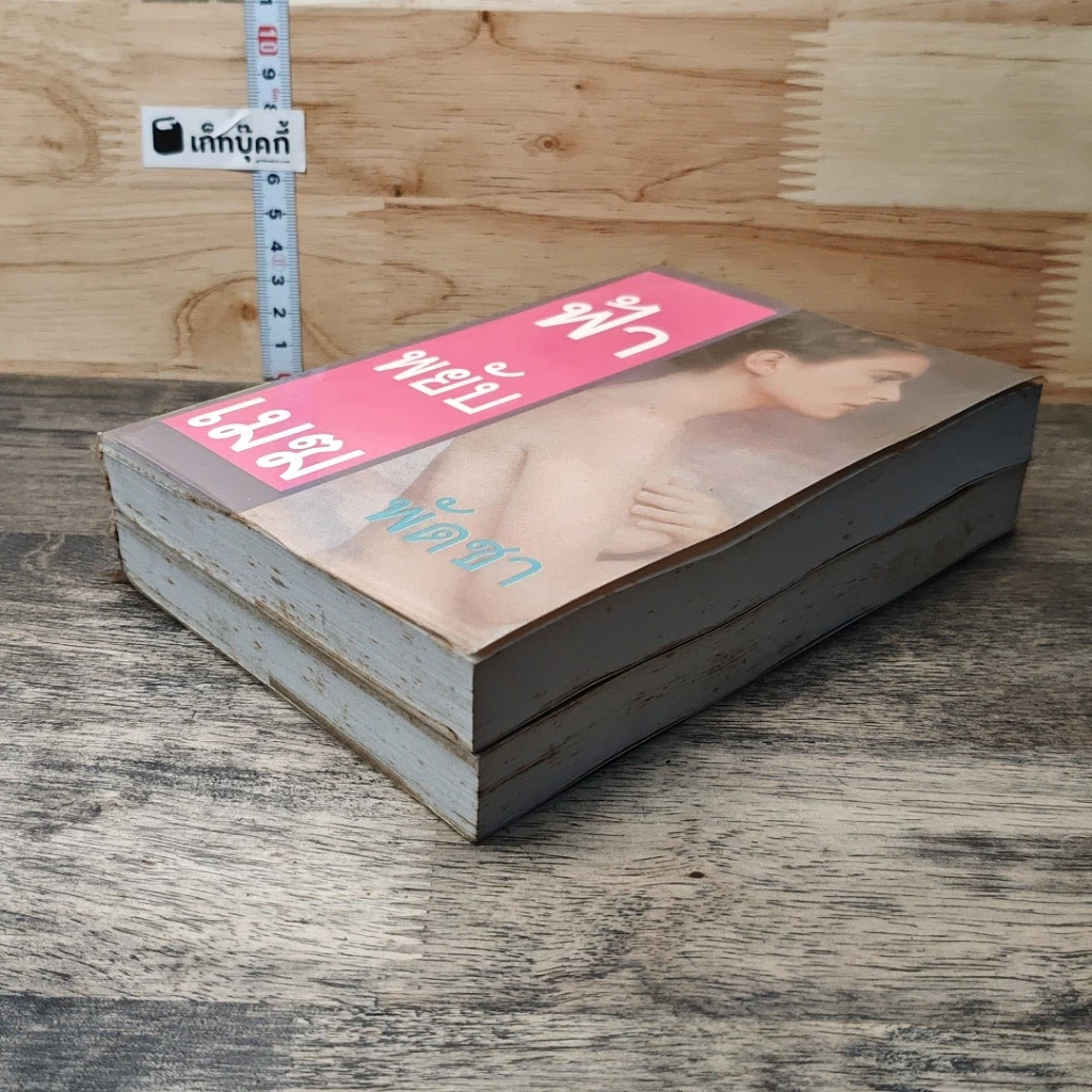 หนังสือ ฟ้าพยับเมฆ 2 เล่มจบ รูปที่ 4