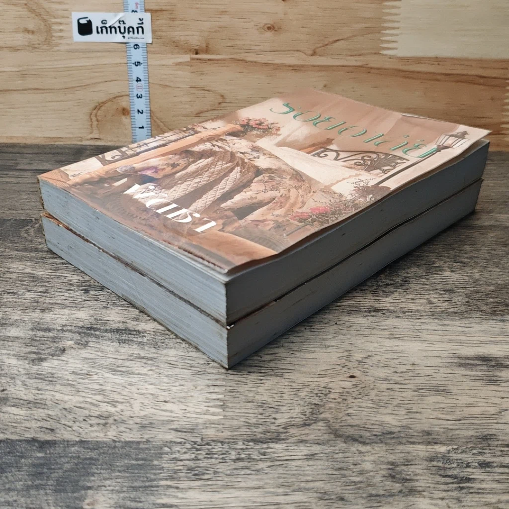 หนังสือ รอยอาลัย 2 เล่มจบ รูปที่ 4