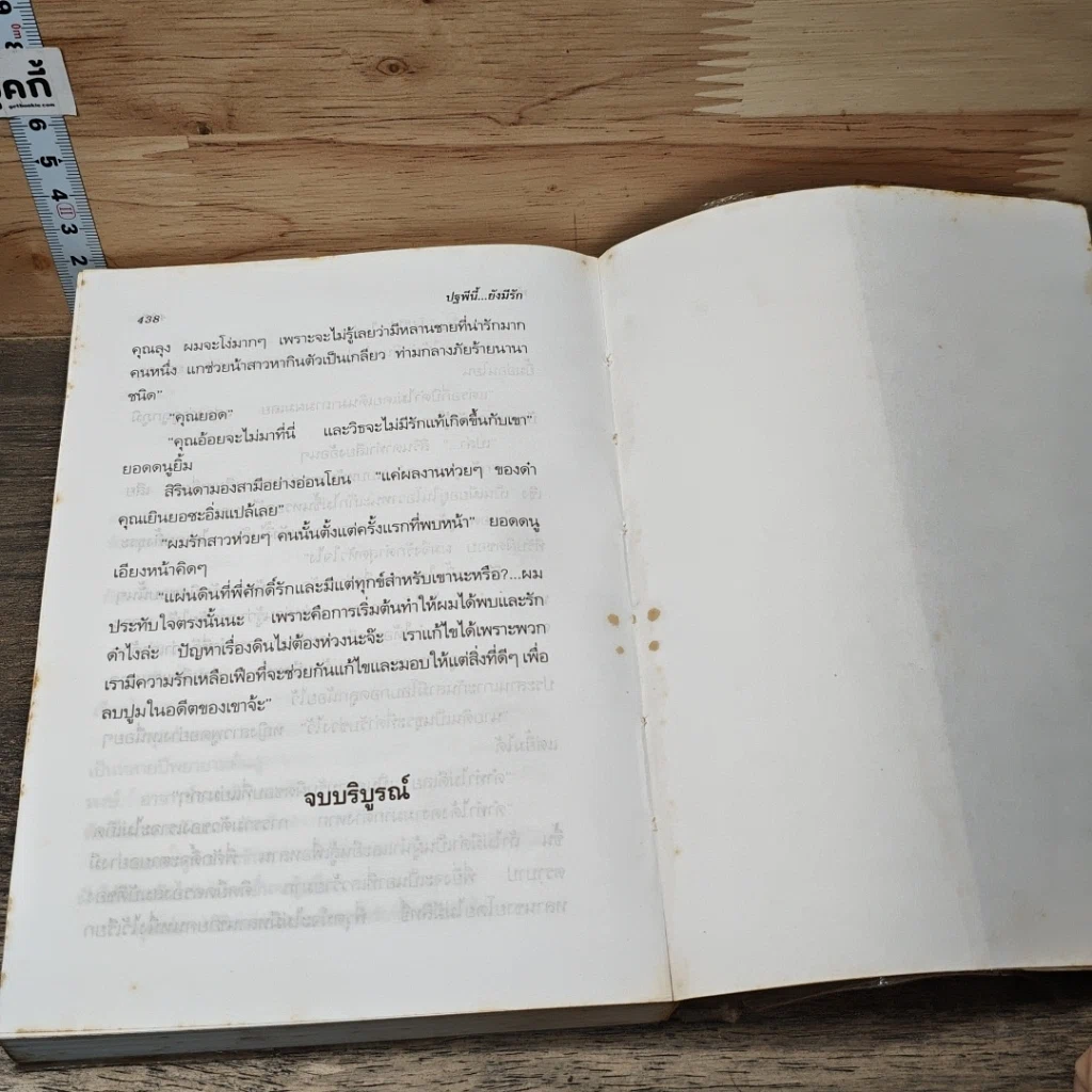หนังสือ ปฐพีนี้ยังมีรัก 2 เล่มจบ รูปที่ 8