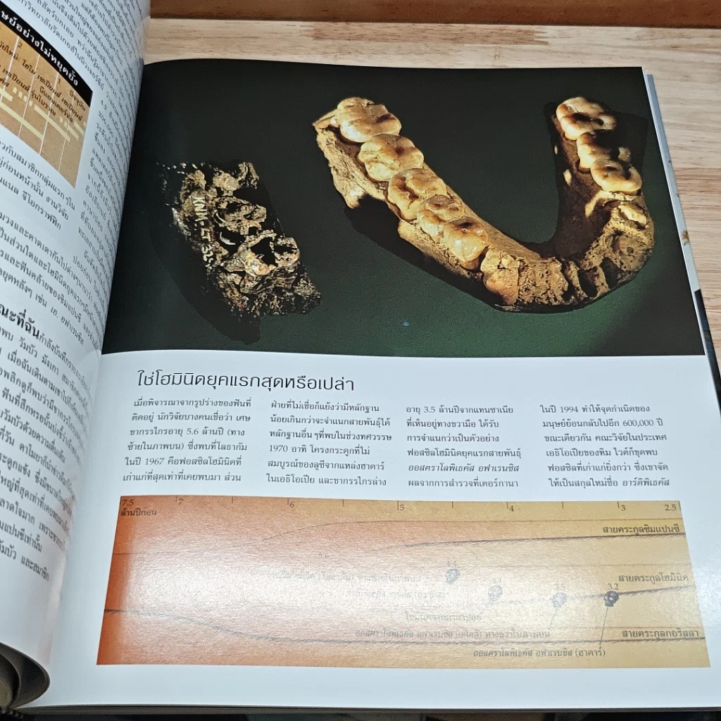 หนังสือ National Geographic ไขปริศนากำเนิดมนุษย์ รูปที่ 7