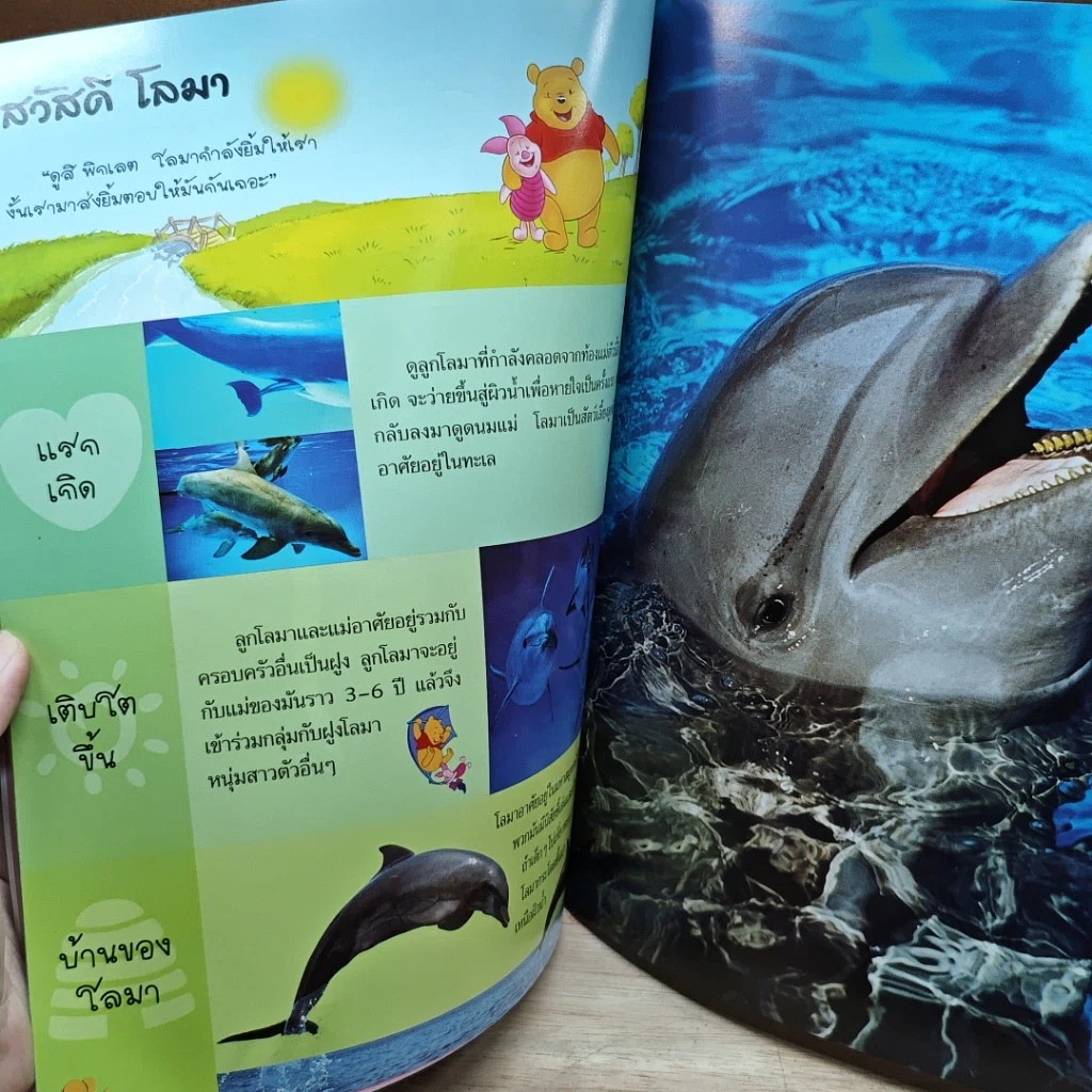 หนังสือ วินนีเดอะพูห์เปิดโลกการเรียนรู้ สัตว์ทะเล รูปที่ 7