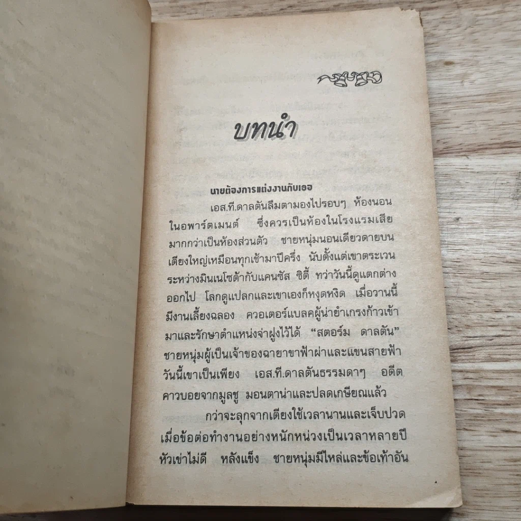 หนังสือ นิยายโรมานซ์ พายุน้ำผึ้ง รูปที่ 7