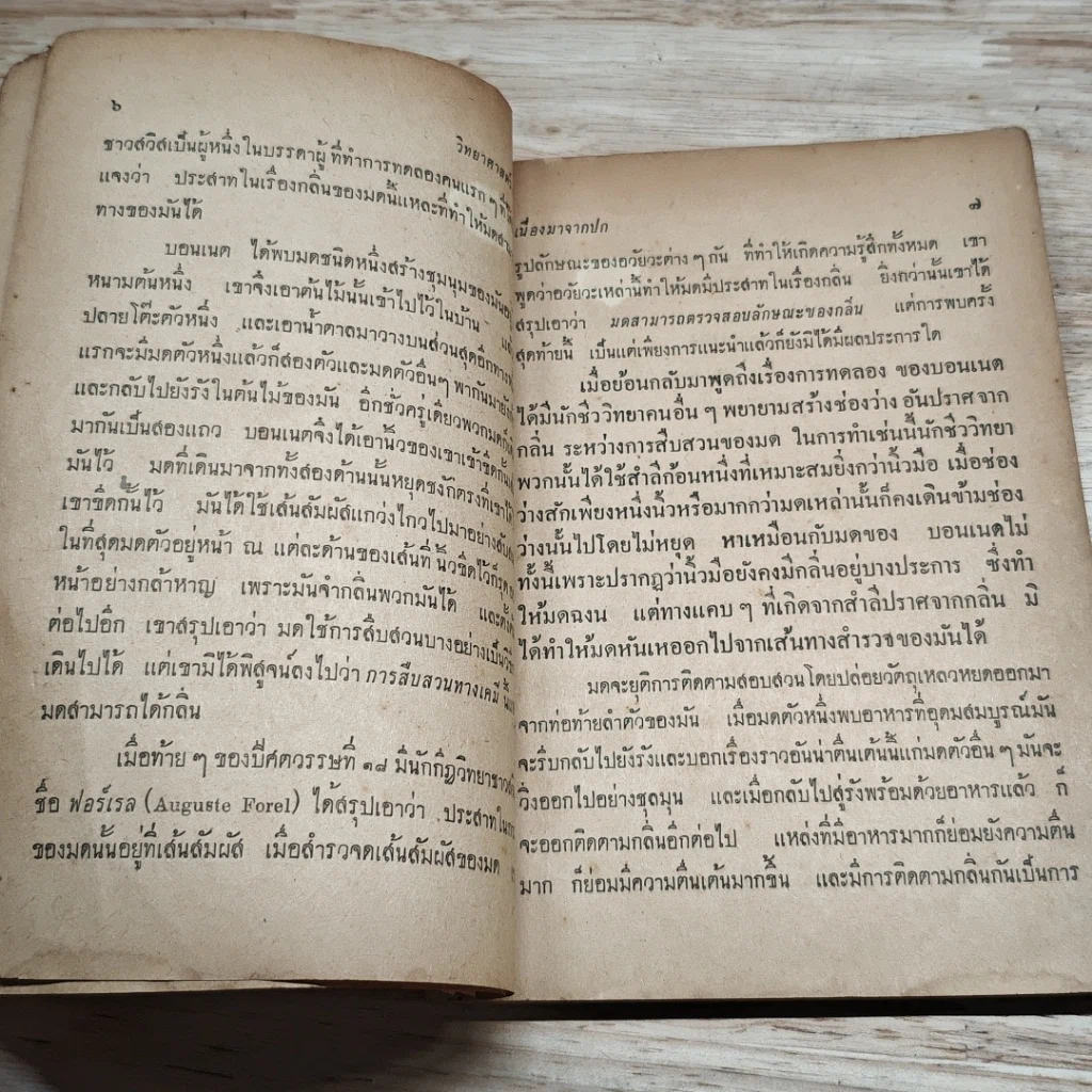 หนังสือ วิทยาศาสตร์มหัศจรรย์ รูปที่ 7
