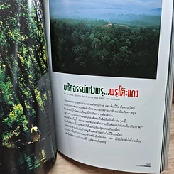 หนังสือ Advanced Thailand Geographic ปีที่ 8 ฉบับที่ 60 ม.ค.2546 รูปที่ 7