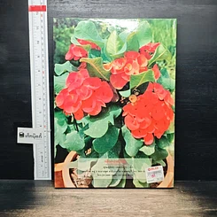 หนังสือ ไม้แห่งโชคลาภ โป๊ยเซียน รูปที่ 2