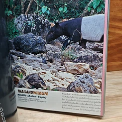 หนังสือ Advanced Thailand Geographic ปีที่ 8 ฉบับที่ 62 มีนาคม 2546 รูปที่ 8