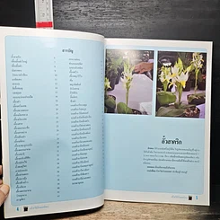 หนังสือ กล้วยไม้ป่ายอดนิยม 2 รูปที่ 7