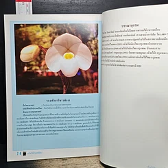 หนังสือ กล้วยไม้ป่ายอดนิยม 2 รูปที่ 8