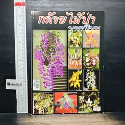หนังสือ กล้วยไม้ป่ายอดนิยม