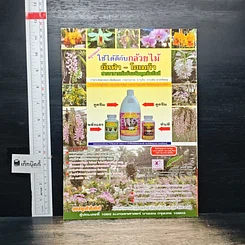 หนังสือ กล้วยไม้ป่ายอดนิยม รูปที่ 2