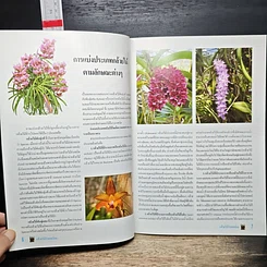 หนังสือ กล้วยไม้ป่ายอดนิยม รูปที่ 7