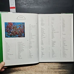 หนังสือ ไม้ดอกไม้ประดับ รูปที่ 6