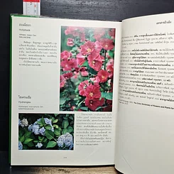 หนังสือ ไม้ดอกไม้ประดับ รูปที่ 10