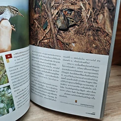 หนังสือ Advanced Thailand Geographic ปีที่ 8 ฉบับที่ 54 ธ.ค.2545 รูปที่ 8