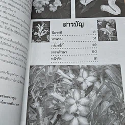 5 ไม้ประดับ รูปที่ 6