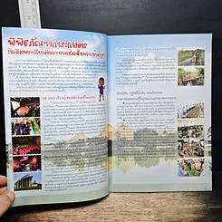 ผักดีดีควรมีรอบครัว รูปที่ 6
