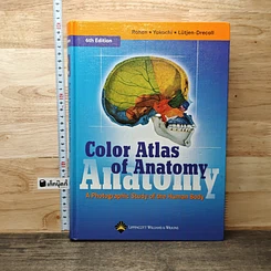 Color Atlas of Anatomy