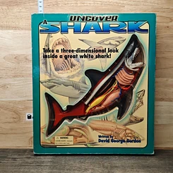 Uncover a Shark