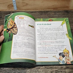 หนังสือ Why? ตะลุยโลกแมลง รูปที่ 6