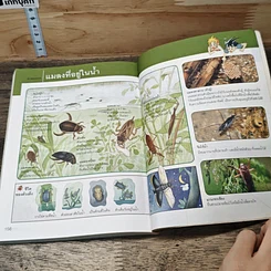 หนังสือ Why? ตะลุยโลกแมลง รูปที่ 9