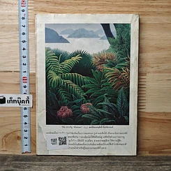 หนังสือ ReaDer's Digest สรรสาระ มิ.ย.2541 รูปที่ 5