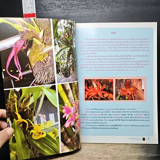 หนังสือ กล้วยไม้ป่ายอดนิยม 2 รูปที่ 6