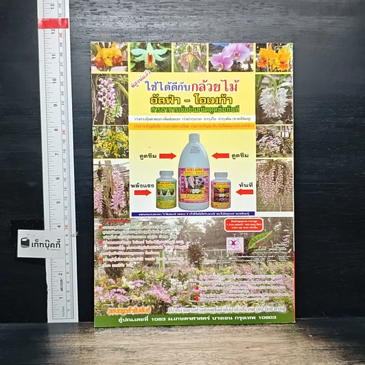 หนังสือ กล้วยไม้ป่ายอดนิยม รูปที่ 2