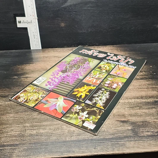 หนังสือ กล้วยไม้ป่ายอดนิยม รูปที่ 4