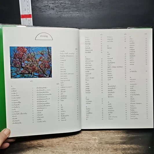 หนังสือ ไม้ดอกไม้ประดับ รูปที่ 6