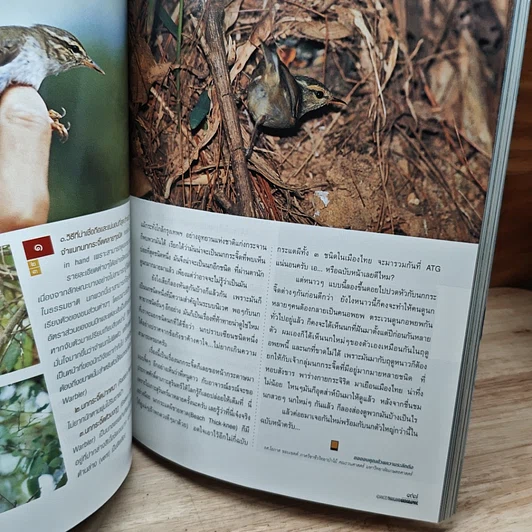 หนังสือ Advanced Thailand Geographic ปีที่ 8 ฉบับที่ 54 ธ.ค.2545 รูปที่ 8