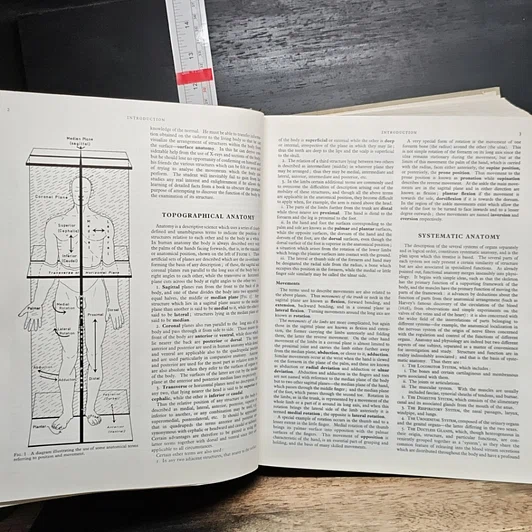 หนังสือ Cunningham's Textbook of Anatomy รูปที่ 10
