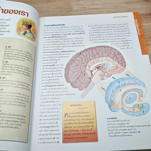 หนังสือ 101 วิธีสมองดี ความจำเลิศ รูปที่ 9