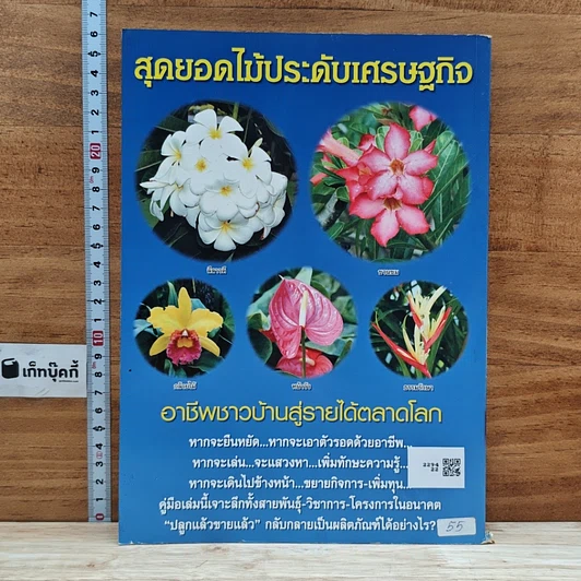 5 ไม้ประดับ รูปที่ 2