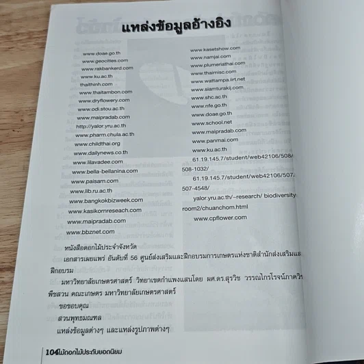 5 ไม้ประดับ รูปที่ 8