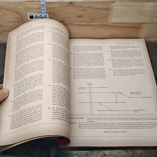 หนังสือ Appleton & Lange's Review of General Pathology รูปที่ 7
