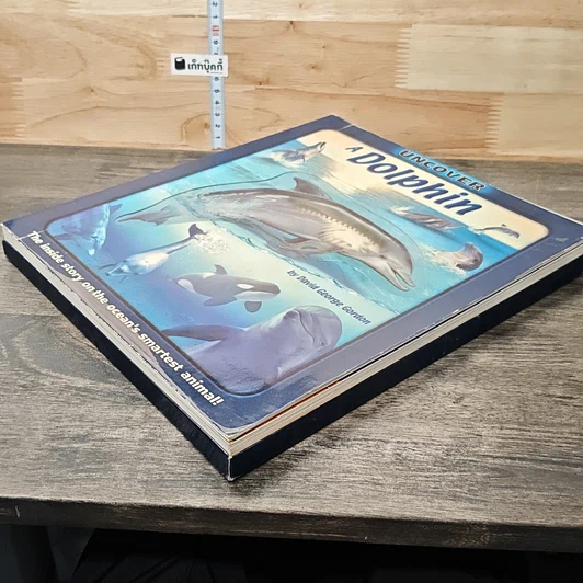 หนังสือ Uncover a Dolphin รูปที่ 3