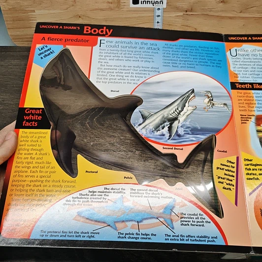 Uncover a Shark รูปที่ 6