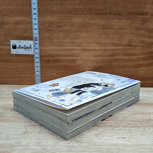 หนังสือ หนุ่มขี้อายอย่างผมดันกลายเป็นที่รักของฝาแฝดไปซะได้ เล่ม 1-3 รูปที่ 4