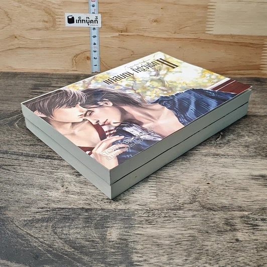 หนังสือ แค่สบตา ก็รู้ว่ารัก 2 เล่มจบ รูปที่ 4