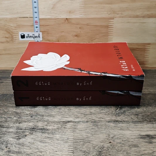 หนังสือ ที่นี่ไม่มีนางเอก 2 เล่มจบ รูปที่ 3