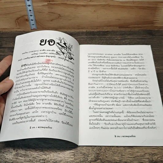หนังสือ ยอ สรรพคุณเยี่ยม (ไม่ได้ยอจนเกินจริง) รูปที่ 6
