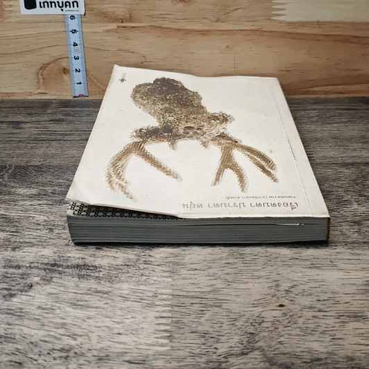หนังสือ เรื่องตบตา รูปที่ 4