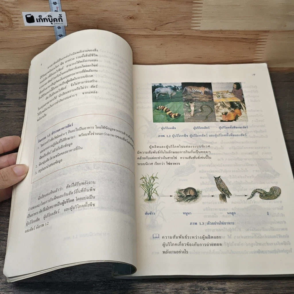 หนังสือ หนังสือเรียนสาระการเรียนรู้พื้นฐาน ชีวิตกับสิ่งแวดล้อม สิ่งมีชีวิตกับกระบวนการดำรงชีวิต ชั้นมัธยมศึกษาปีที่ 3 รูปที่ 9