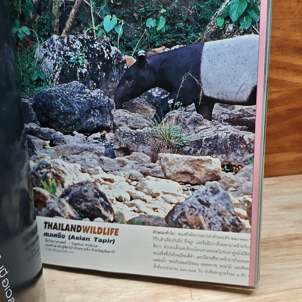 หนังสือ Advanced Thailand Geographic ปีที่ 8 ฉบับที่ 62 มีนาคม 2546 รูปที่ 8