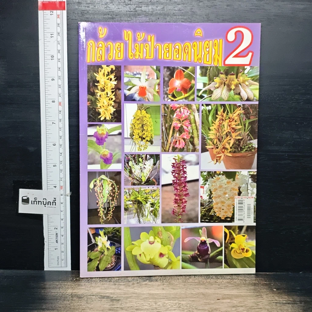 หนังสือ กล้วยไม้ป่ายอดนิยม 2 รูปที่ 1