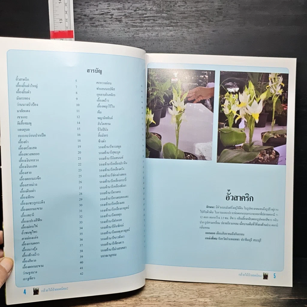 หนังสือ กล้วยไม้ป่ายอดนิยม 2 รูปที่ 7