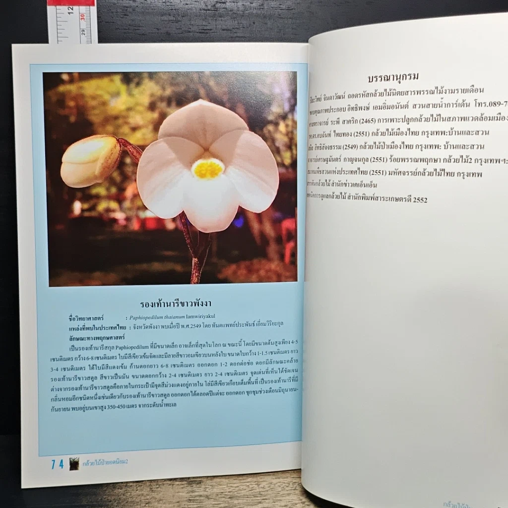 หนังสือ กล้วยไม้ป่ายอดนิยม 2 รูปที่ 8