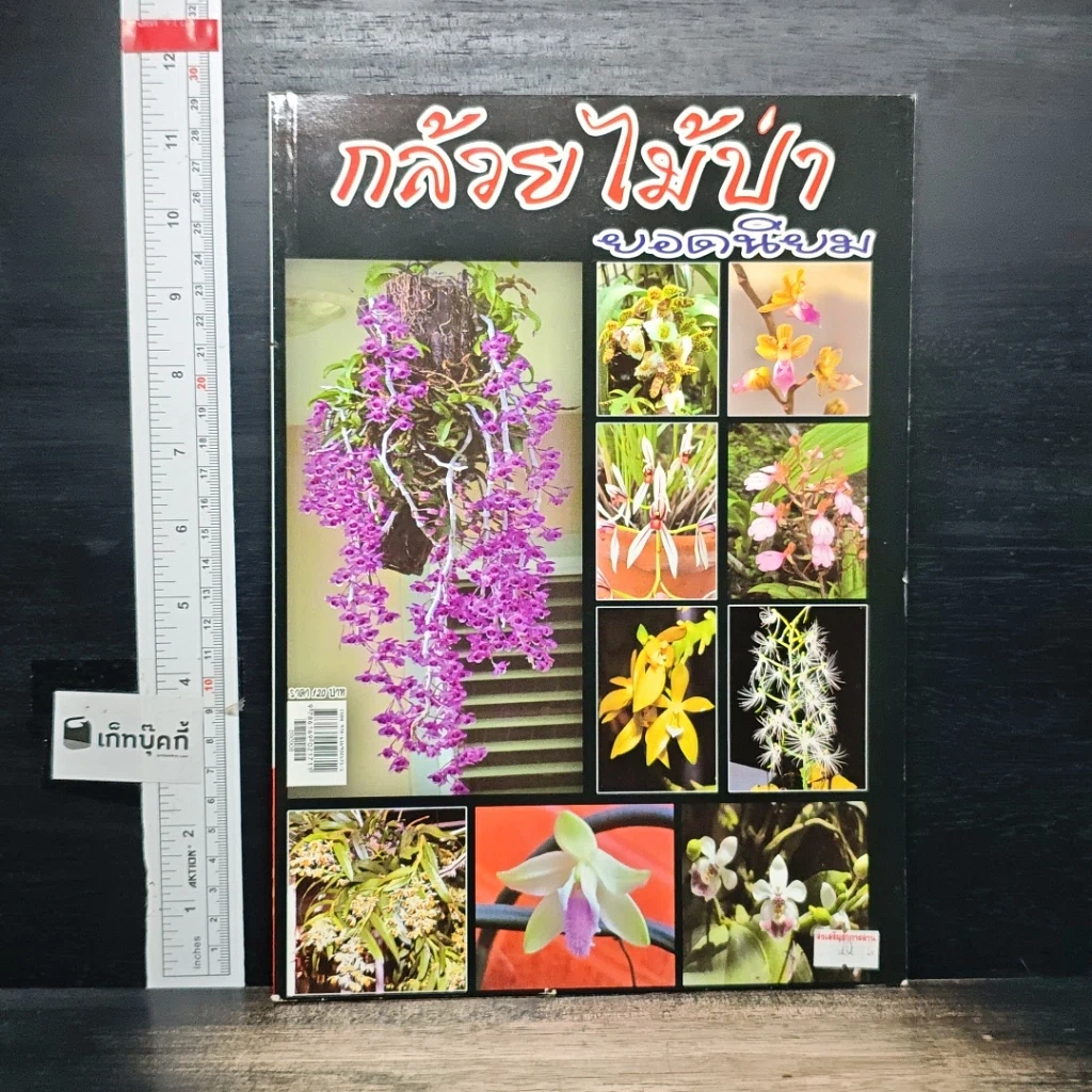 หนังสือ กล้วยไม้ป่ายอดนิยม รูปที่ 1