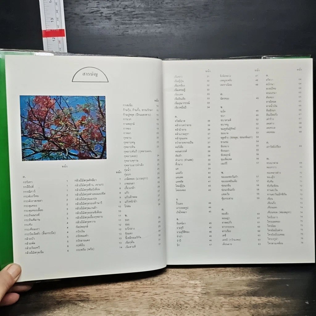 หนังสือ ไม้ดอกไม้ประดับ รูปที่ 6