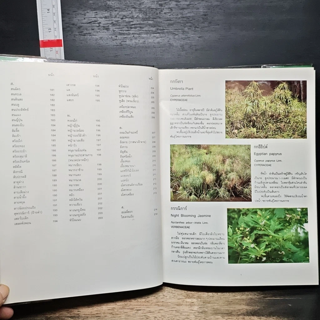 หนังสือ ไม้ดอกไม้ประดับ รูปที่ 8